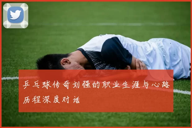 乒乓球传奇刘强的职业生涯与心路历程深度对话
