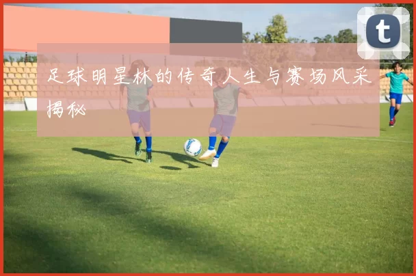 足球明星林的传奇人生与赛场风采揭秘
