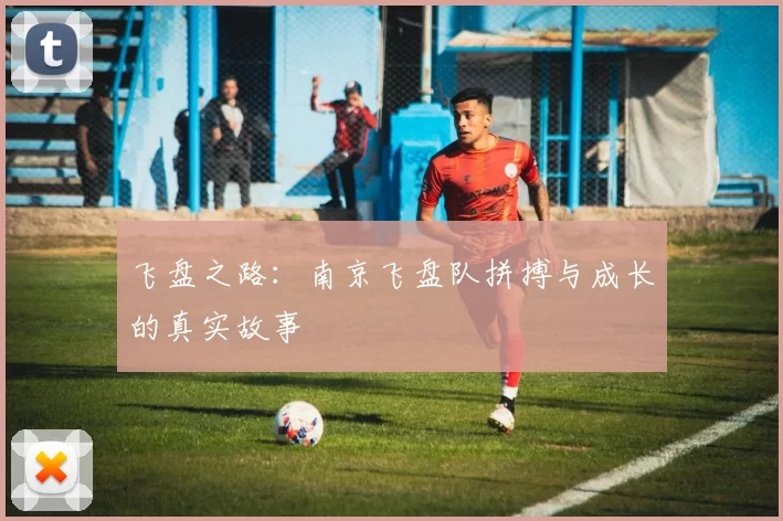 飞盘之路：南京飞盘队拼搏与成长的真实故事