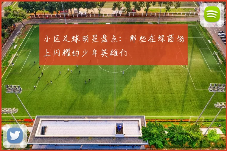 小区足球明星盘点：那些在绿茵场上闪耀的少年英雄们