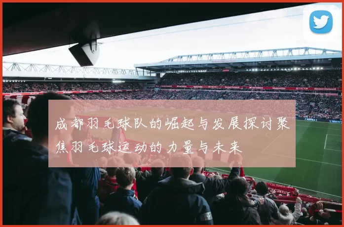 成都羽毛球队的崛起与发展探讨聚焦羽毛球运动的力量与未来