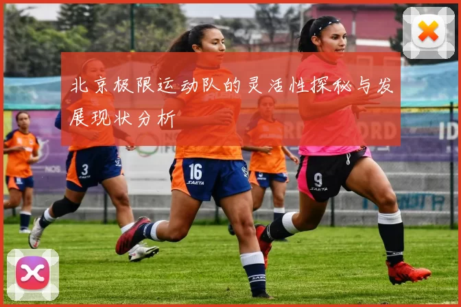 北京极限运动队的灵活性探秘与发展现状分析