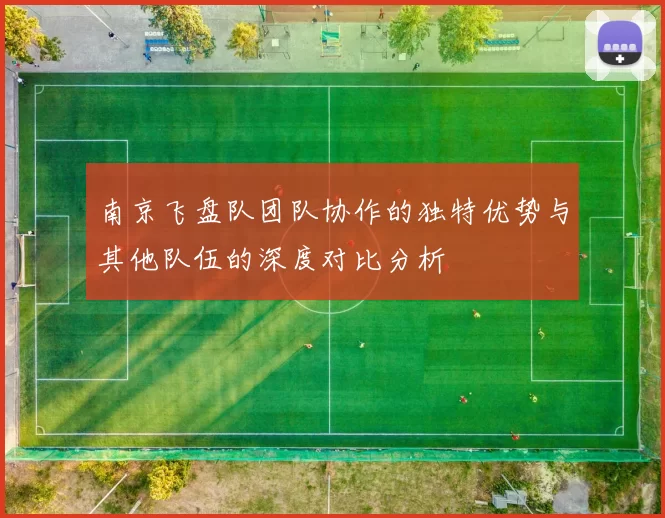 南京飞盘队团队协作的独特优势与其他队伍的深度对比分析
