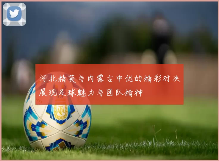 河北精英与内蒙古中优的精彩对决展现足球魅力与团队精神