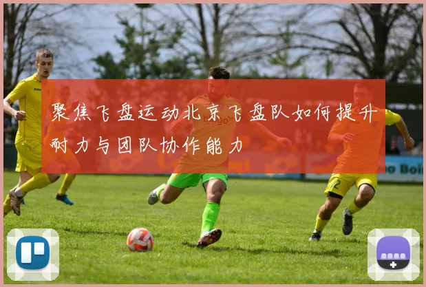 聚焦飞盘运动北京飞盘队如何提升耐力与团队协作能力