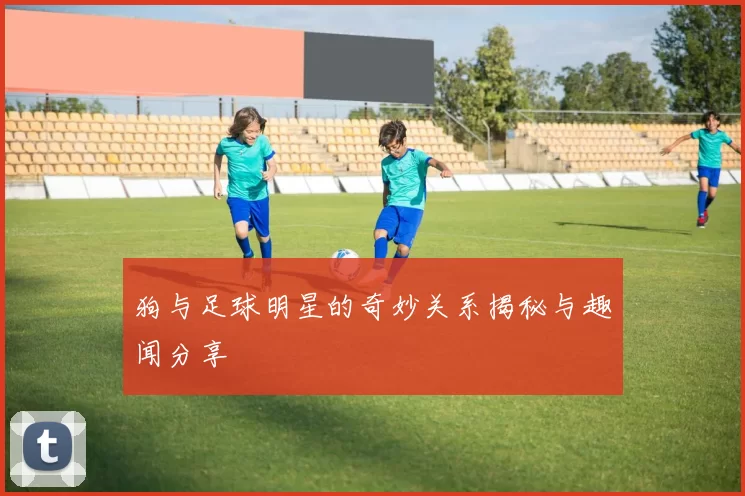 狗与足球明星的奇妙关系揭秘与趣闻分享