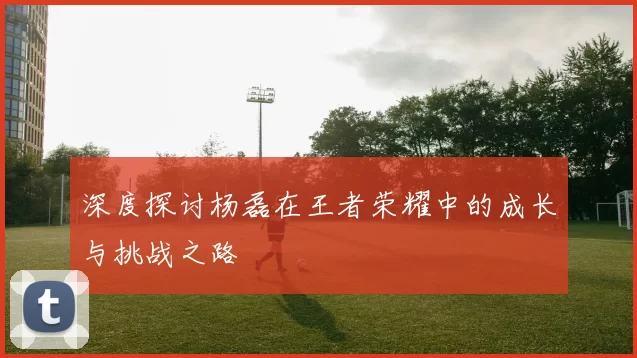 深度探讨杨磊在王者荣耀中的成长与挑战之路